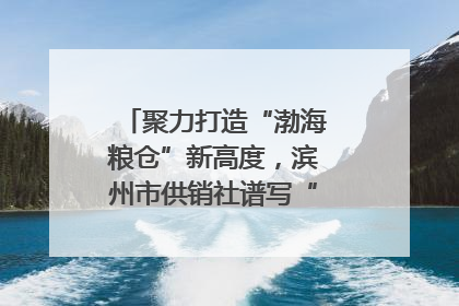 聚力打造“渤海粮仓”新高度，滨州市供销社谱写“三夏”丰收乐章